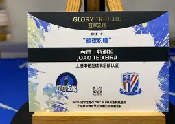 国安最新引援 国安最新引援